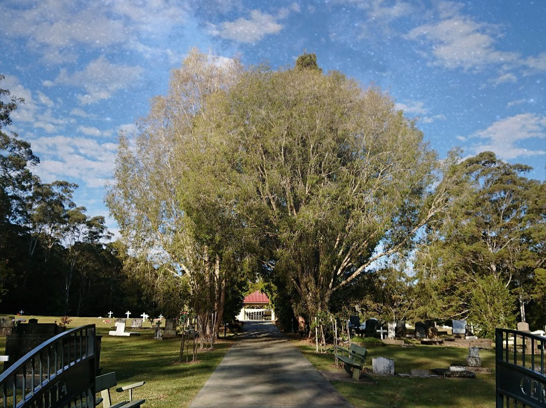 Witta Cemetery景点图片