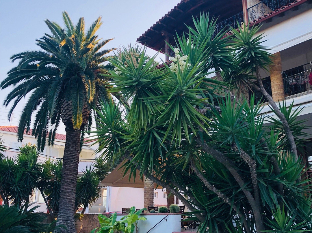 Pilalidis Apartments主图