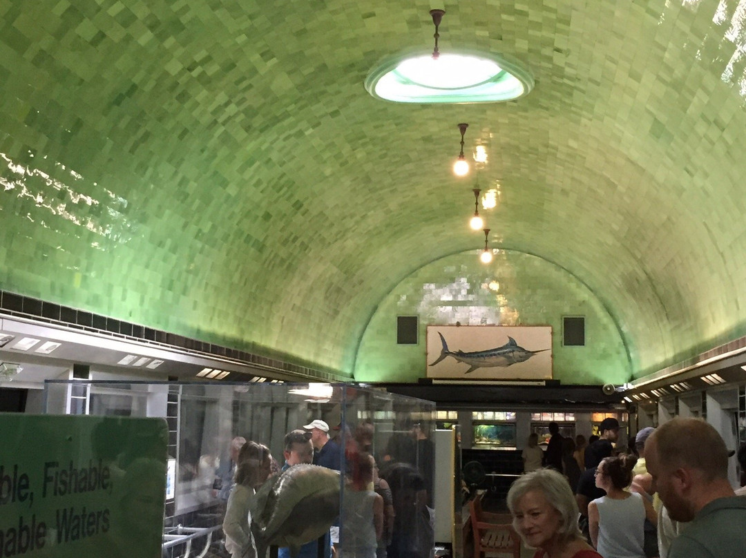 Belle Isle Aquarium-底特律必去景点