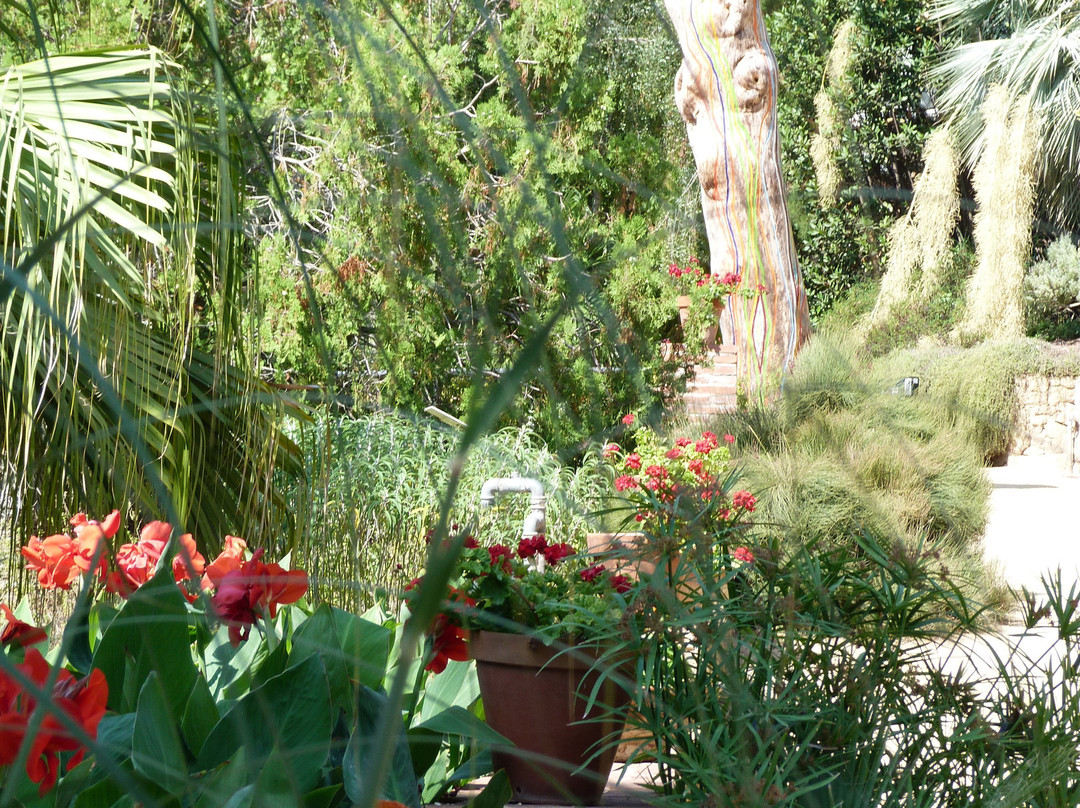 Jardí Botànic Marimurtra-布拉内斯必去景点