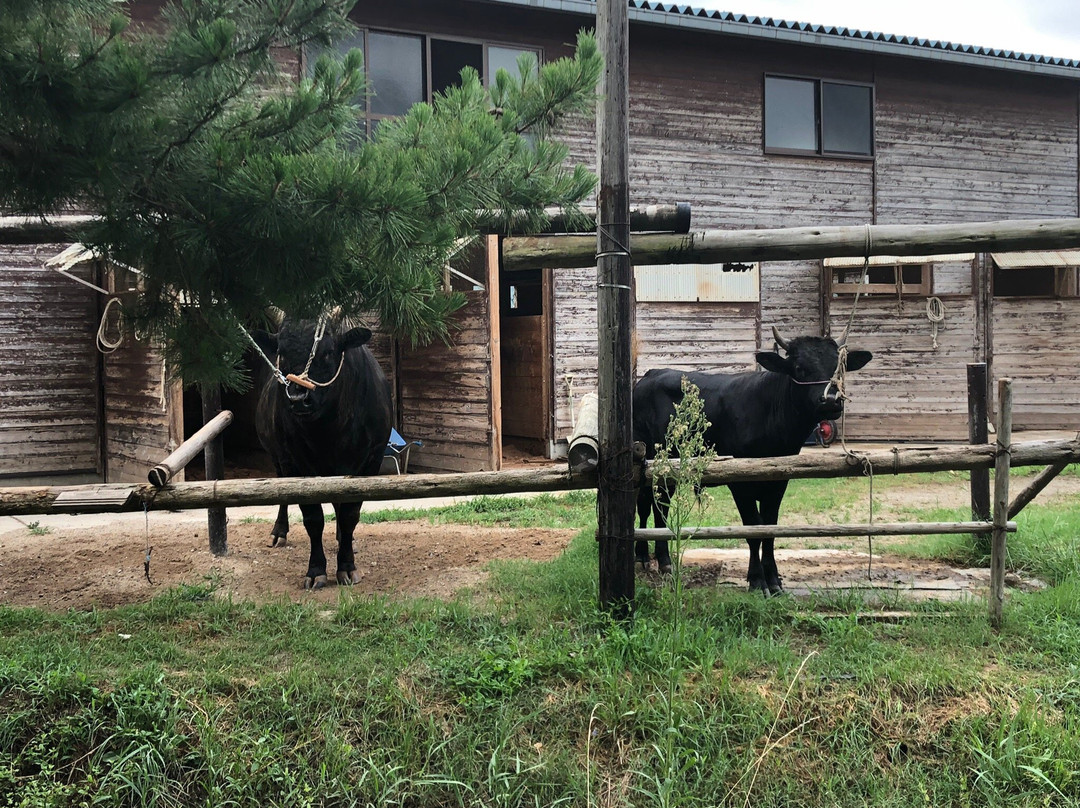 Yananomatsubara-隐岐之岛町必去景点