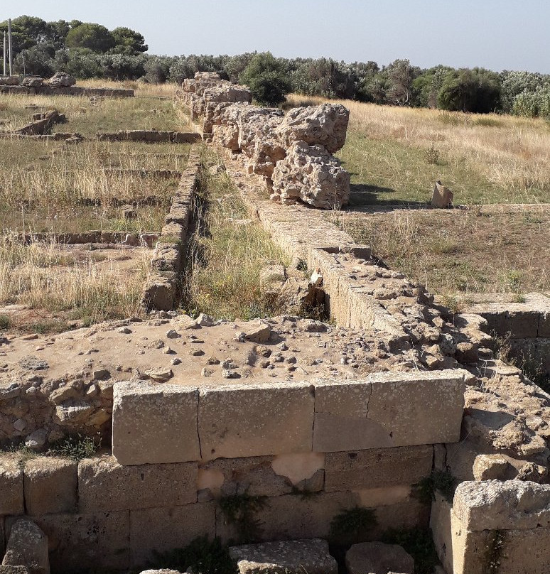 Museo e Parco Archeologico Nazionale di Capo Colonna-克罗托内必去景点