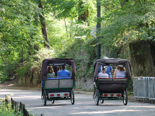 NYC Park Tours™ | Central Park Tours-纽约市必去景点