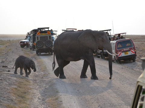 Siku Njema Tours and Safaris-蒙巴萨必去景点