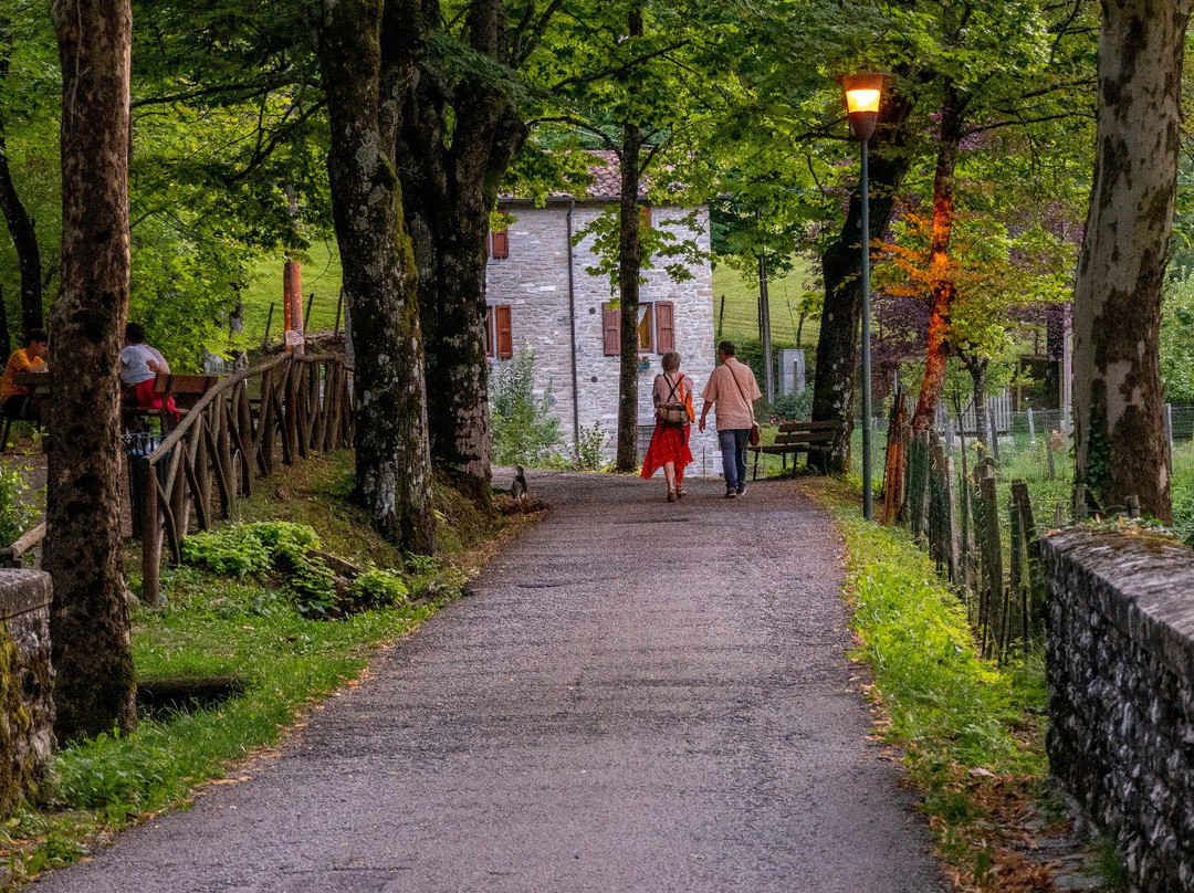 Viale E Fonte Sulfurea Del Chiardovo景点图片