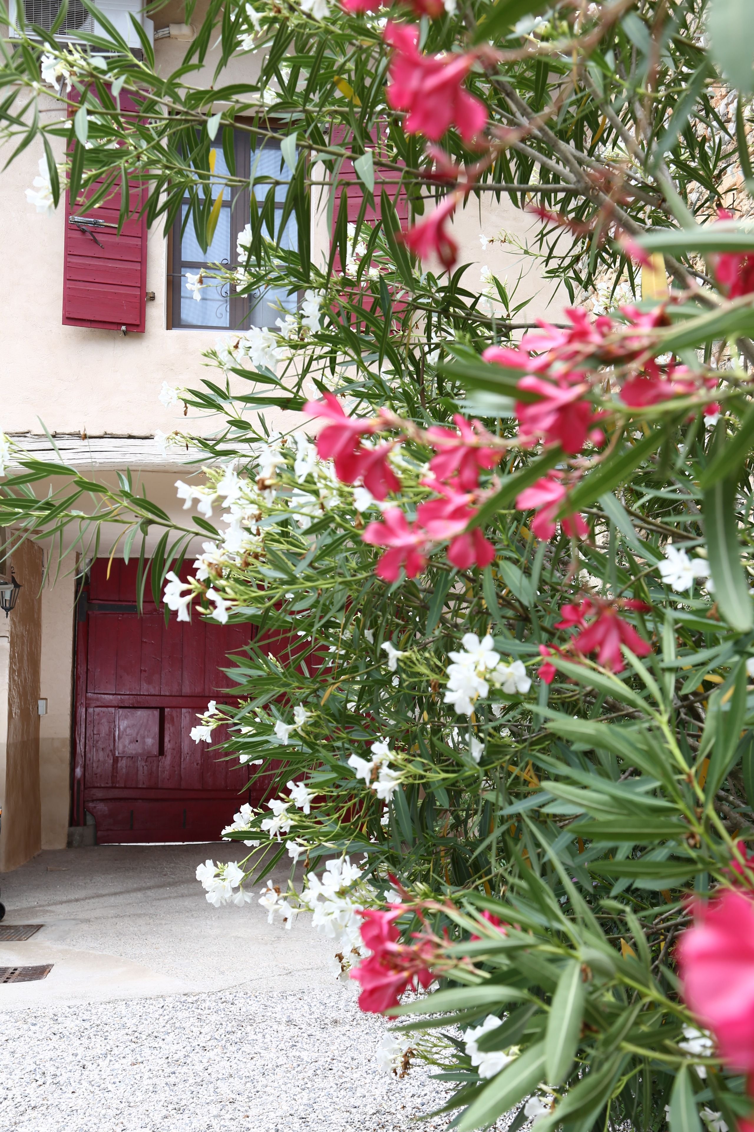 Palazzo Strassoldo bed & breakfast-portrait