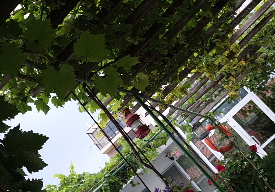 Trakata酒店住宿-Family Hotel California