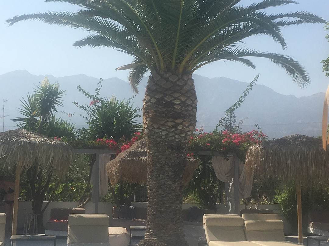 Golden Star Hotel Apartments主图