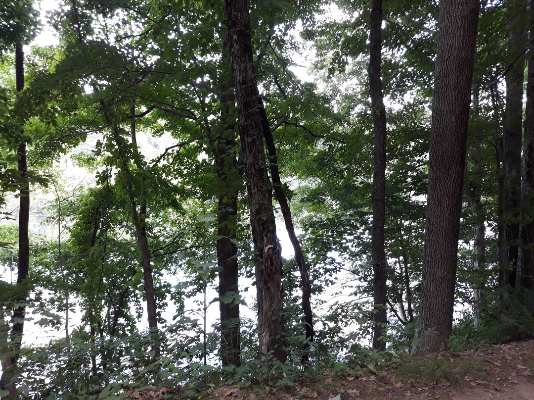 Westville Recreation Area-斯特布里奇必去景点