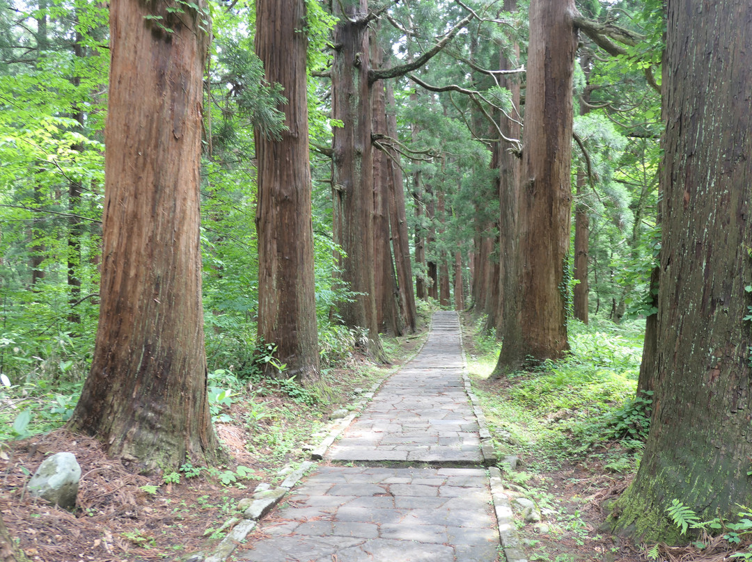 Mt.Haguro- Cedat Trees along the Approach景点图片