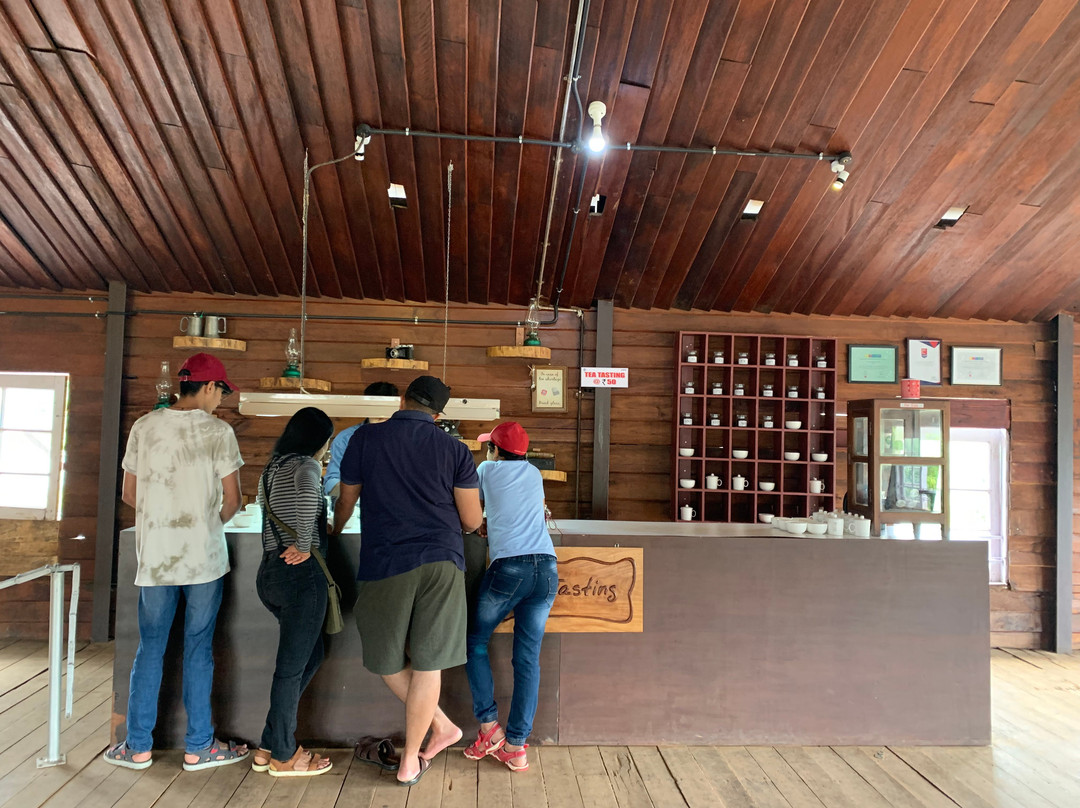 Wayanad Tea Museum-Achooranam必去景点