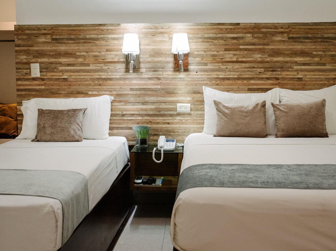 Hotel San Miguel主图