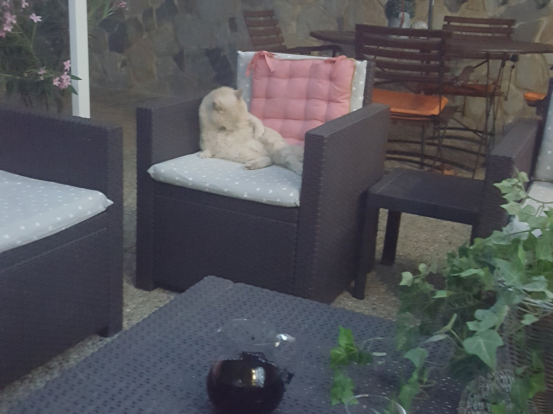 B&B Mar y Duna