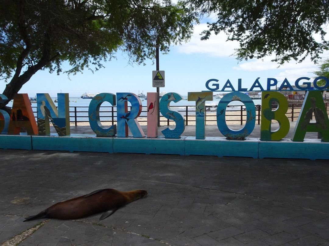 Malecón San Cristobal景点图片