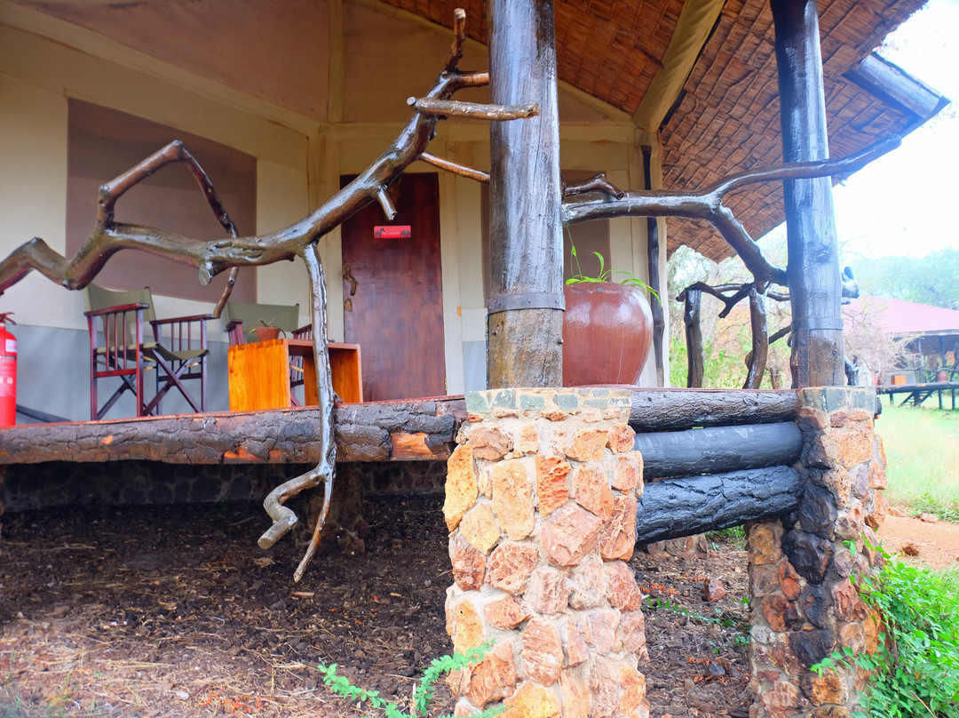 Mbalageti Safari Camp主图