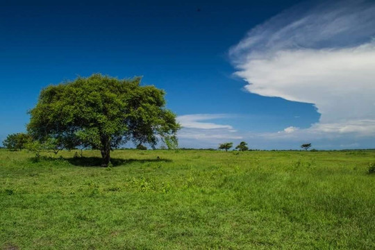 jongjavatrip-巴纽旺宣必去景点