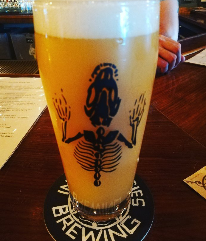 Invasive Species Brewing-劳德代尔堡必去景点