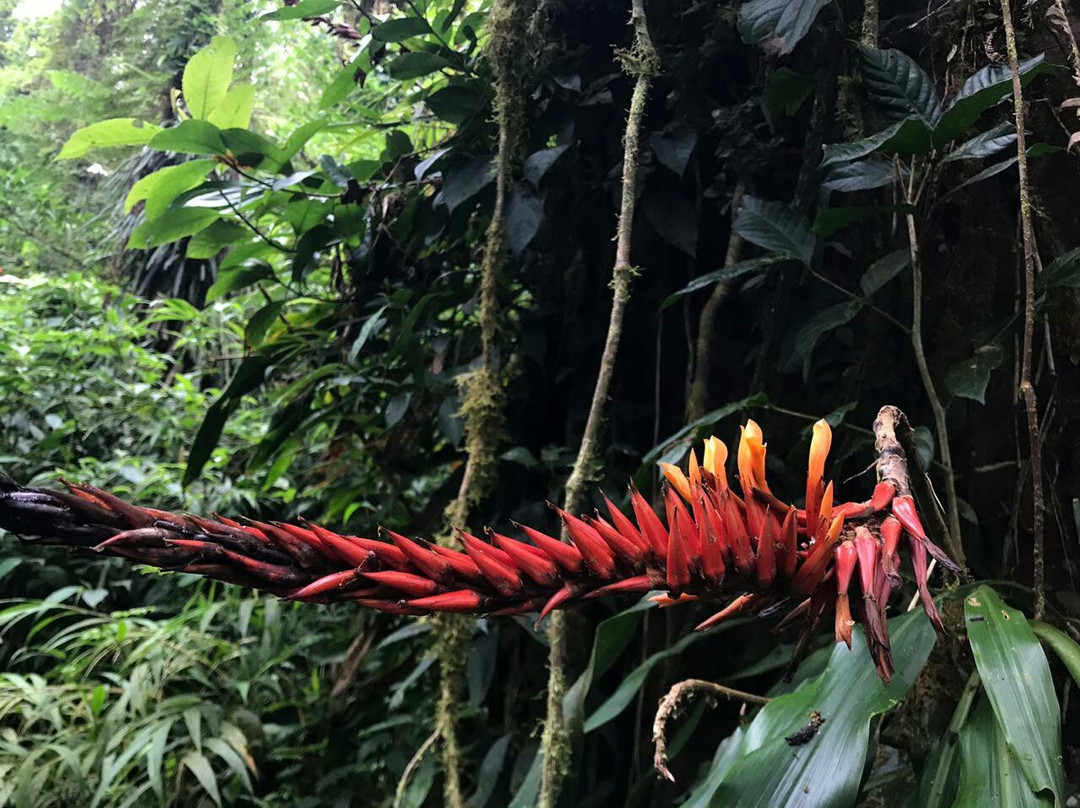 Paris Confort B&B主图