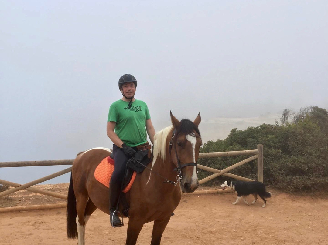Solid Rocks Algarve Horse Trail Adventures景点图片