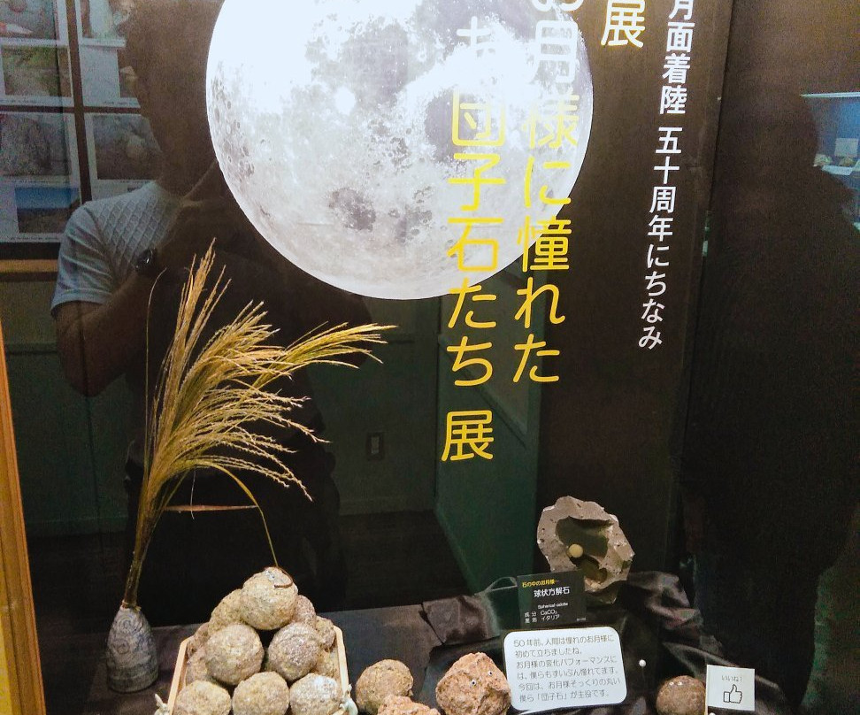 The Kiseki Museum of World Stones景点图片