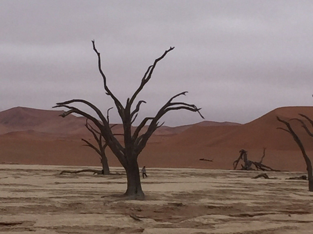 Namib-Naukluft National Park景点图片