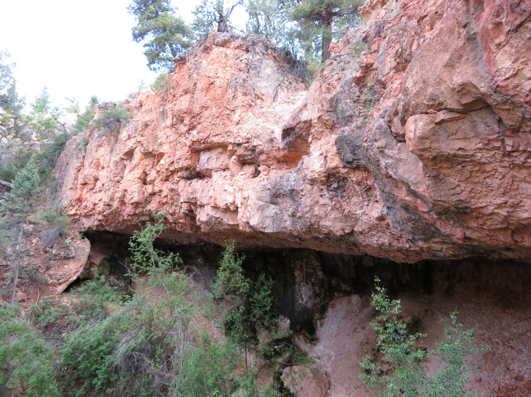 Mossy Cave Trail景点图片
