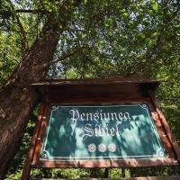 Sibiel酒店住宿-Pensiunea Sibiel