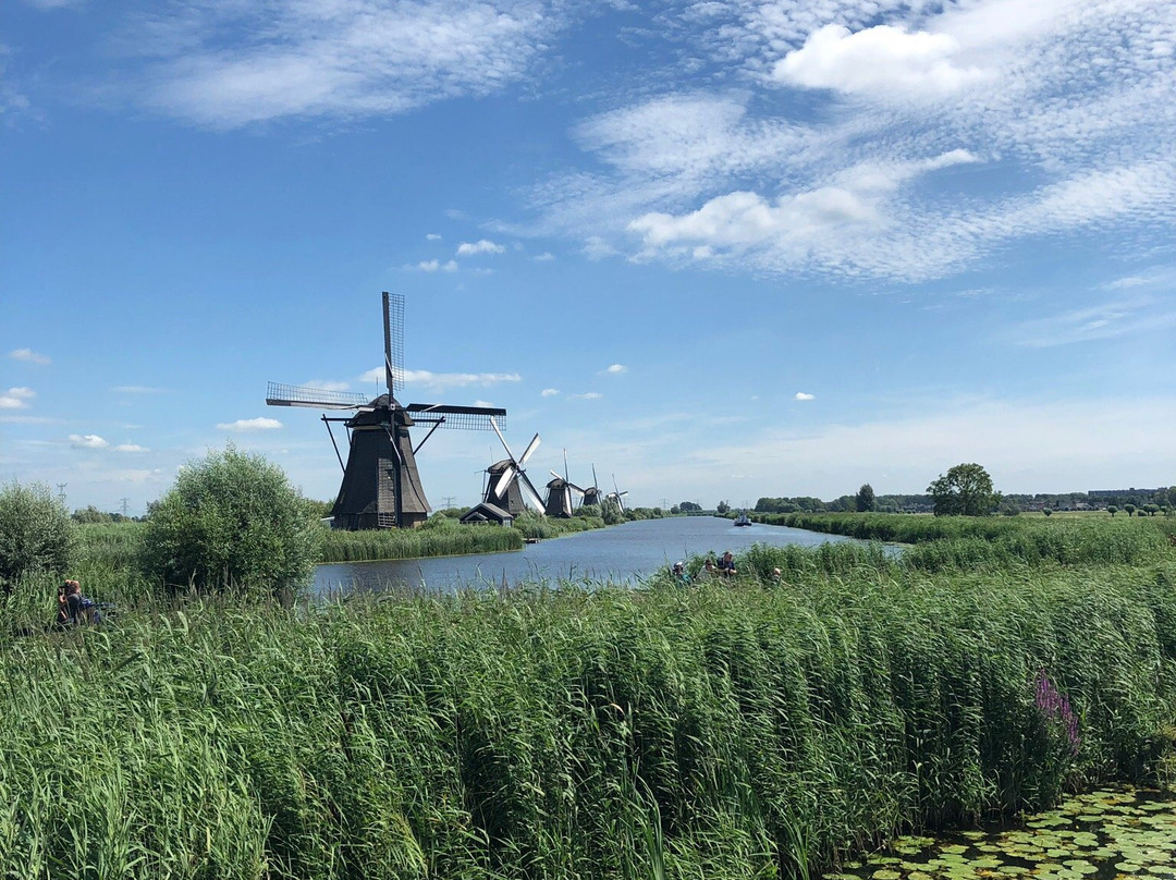 Travel Kinderdijk景点图片
