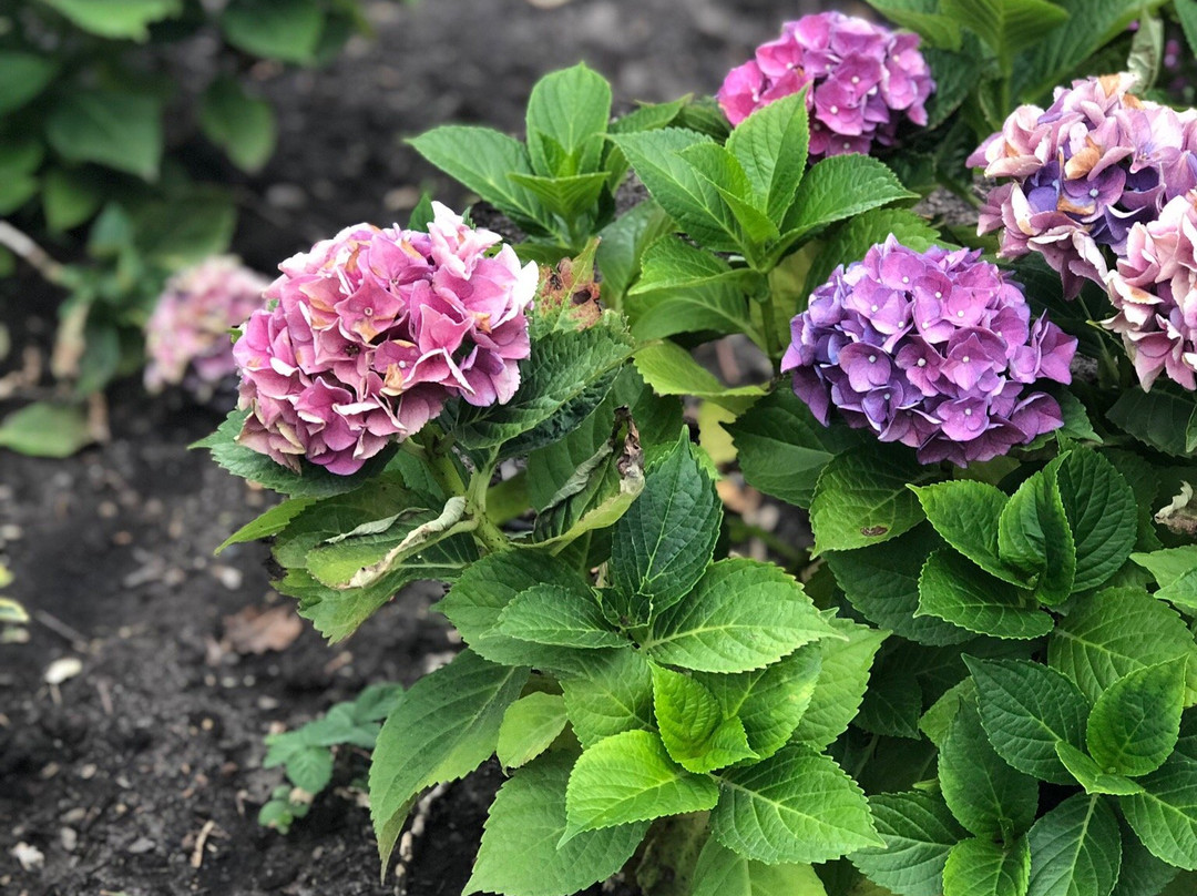 Ferienhof Bettmann主图