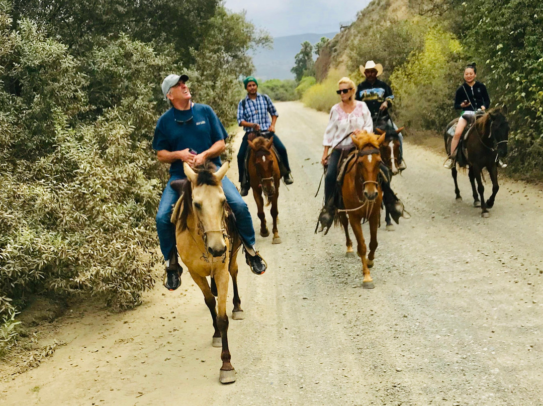 Traditional Horseriding of La Misión-La Mision必去景点