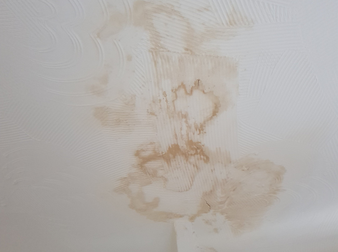 Bridge Inn Conwy主图