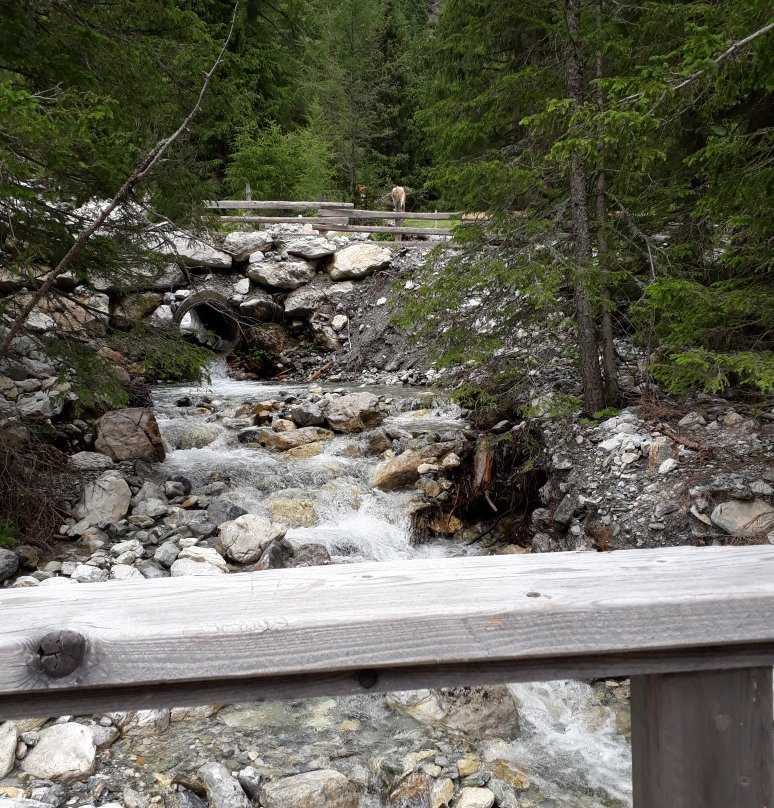 Naturpark Riedingtal-Zederhaus必去景点