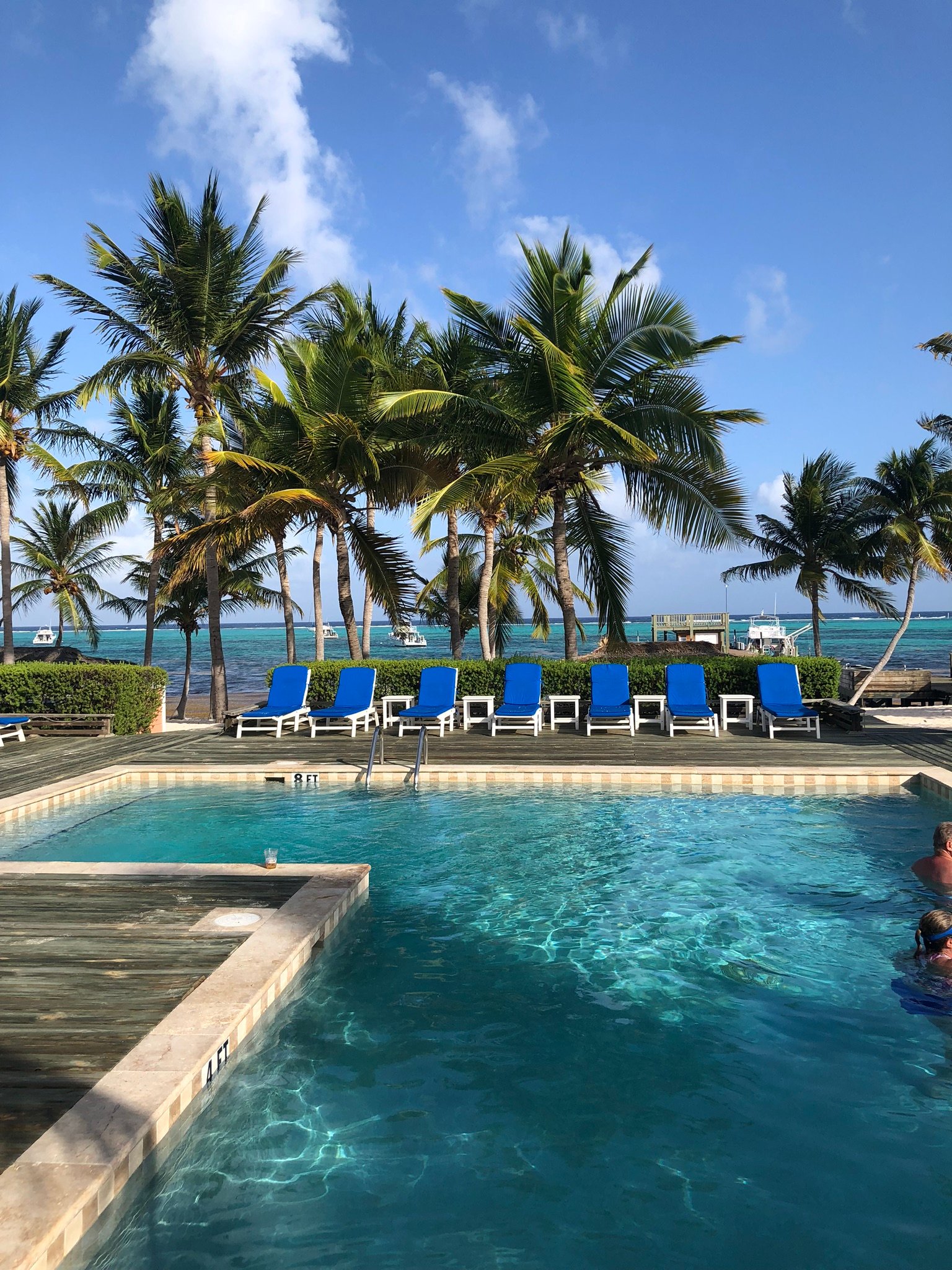 Little Cayman Beach Resort-泳池