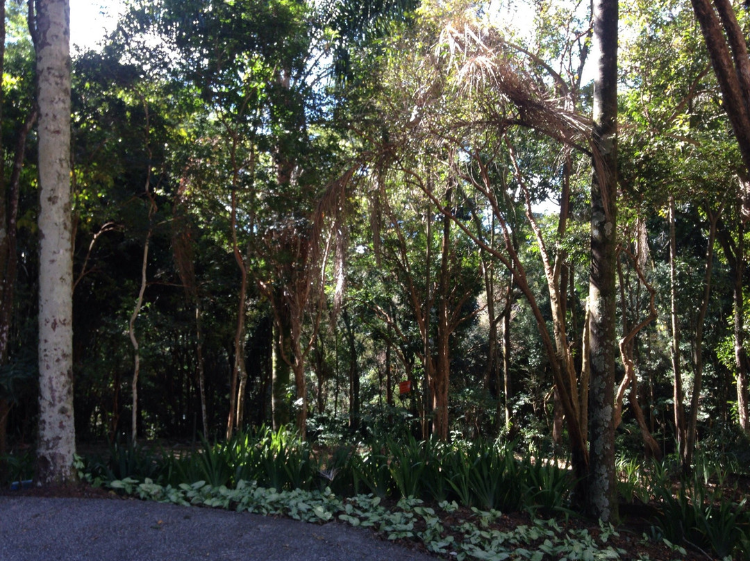 Mariano Procopio Museum-Juiz de Fora必去景点