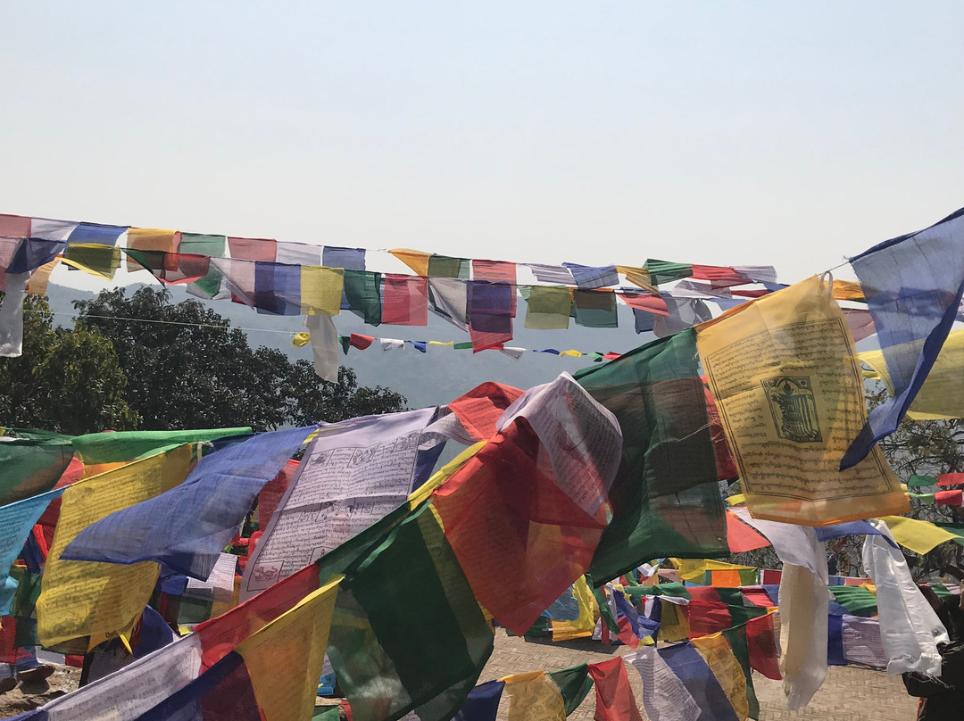 Rajgir Wildlife Sanctuary-Nalanda必去景点