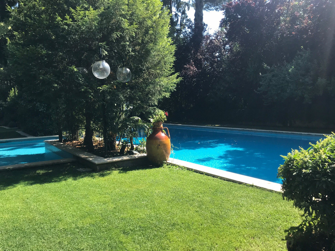 Benito Al Bosco主图