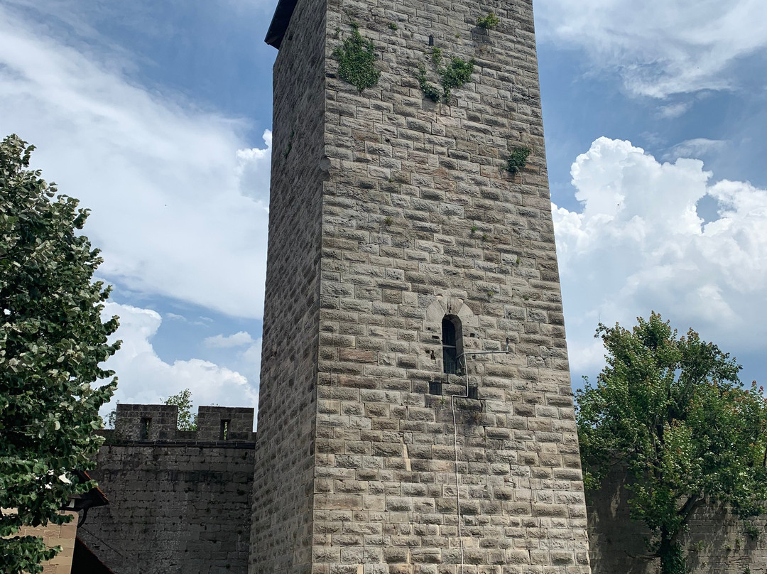 Burg Hohenbeilstein景点图片