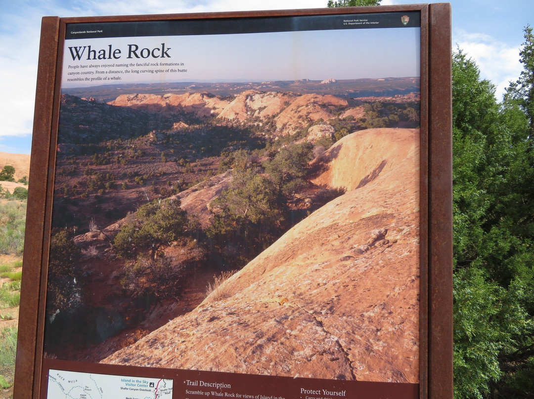 Whale Rock-峡谷地国家公园必去景点