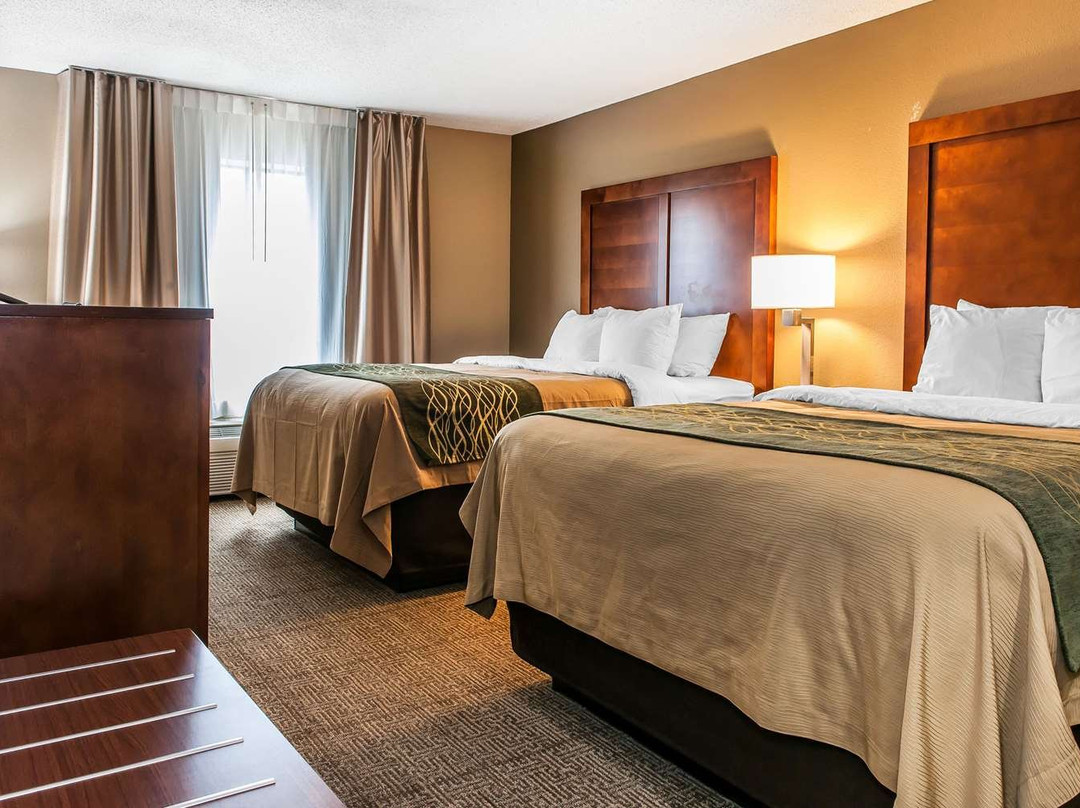 Comfort Inn Airport主图