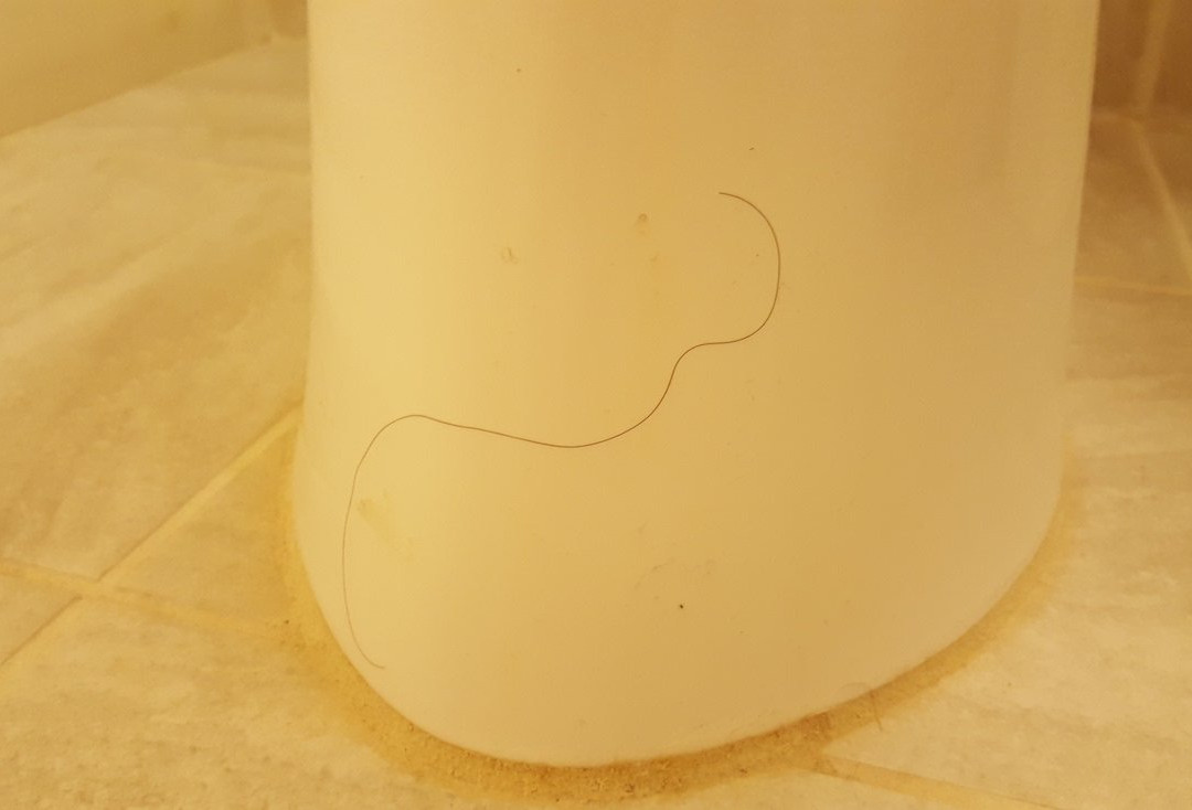 MainStay Suites Orlando Altamonte Springs主图