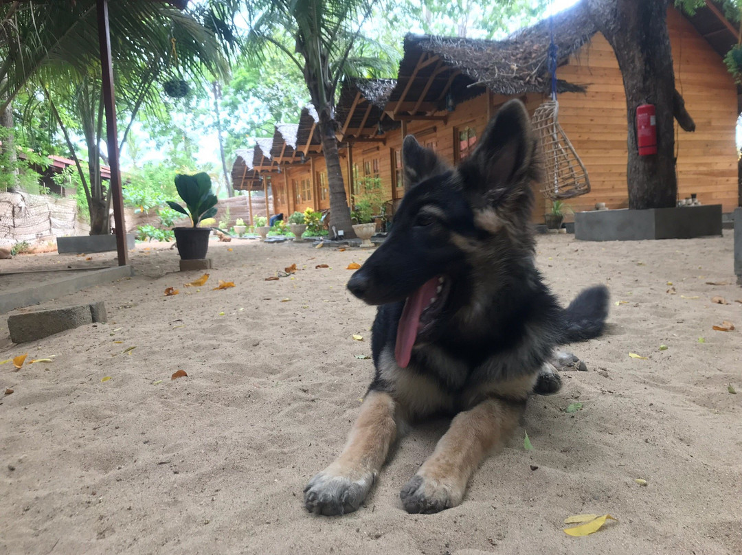 Orion Beach Way主图