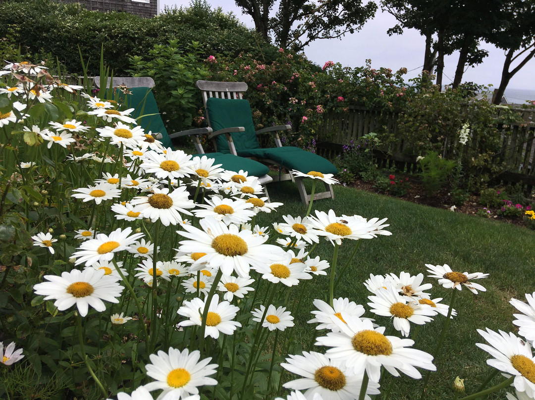 Capture Nantucket-楠塔基特必去景点