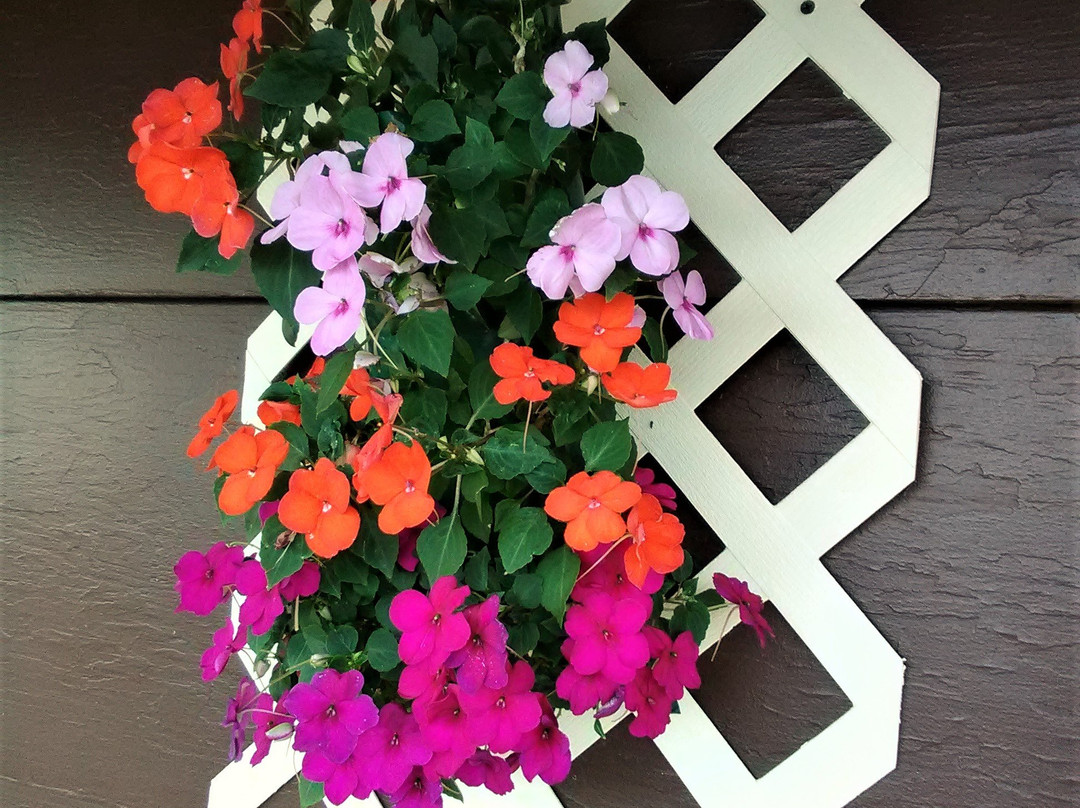 Indianhead Ironwood Hotel主图