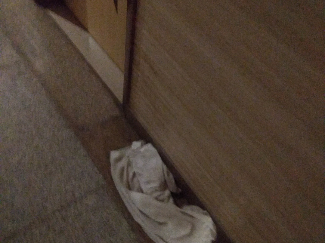 Hotel Holy Basil主图