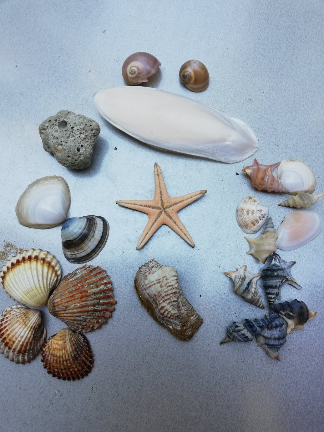 Hotel Vittoria-官方