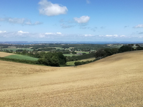 The Downs Breezer-赖德必去景点