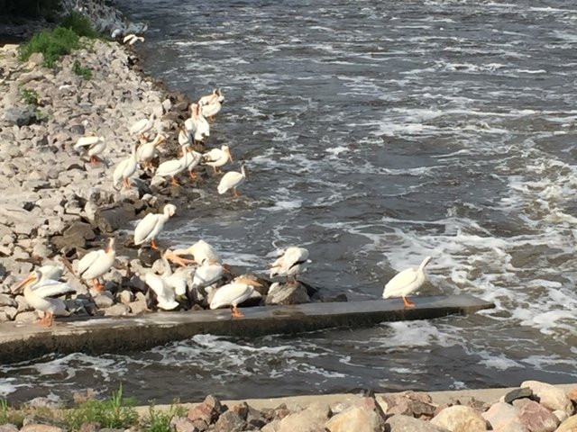 Sorlien Park-Granite Falls必去景点