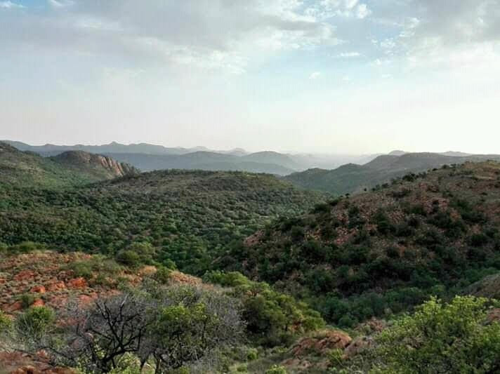 Vredefort Dome-Parys必去景点