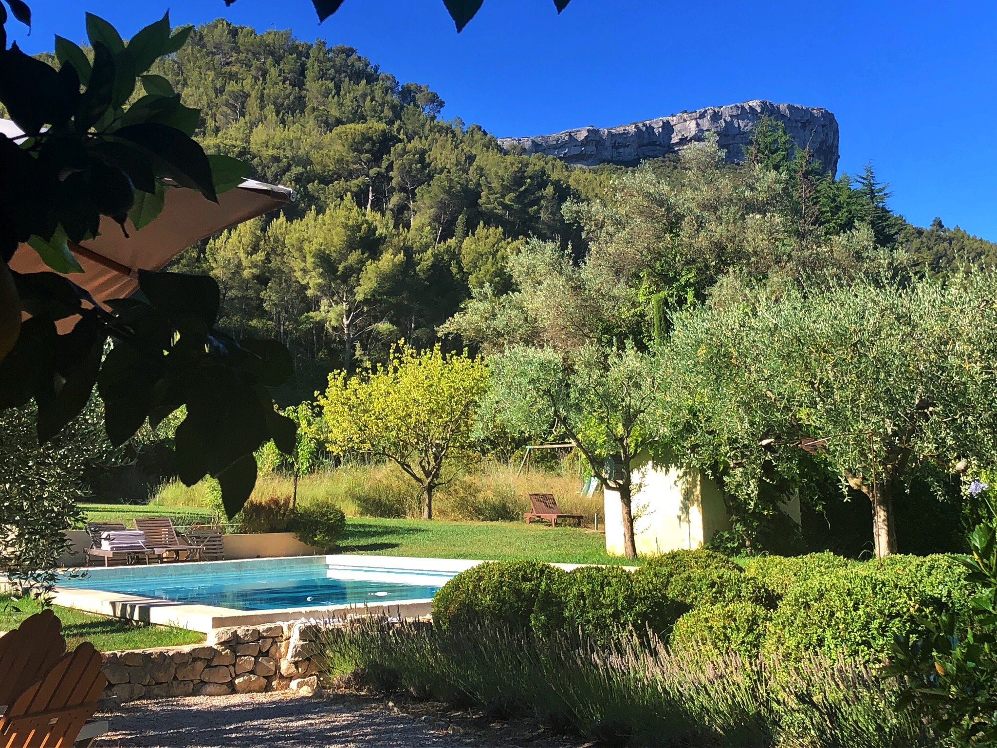 Mas des Pascaux-官方