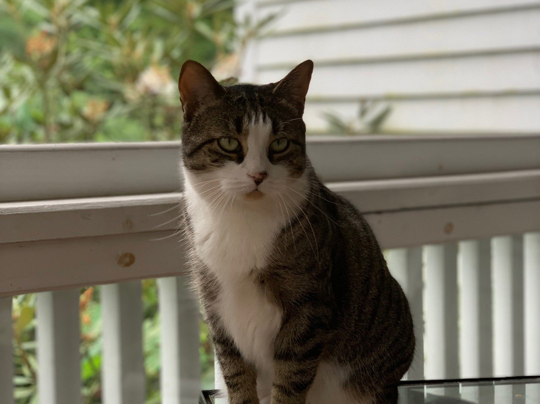 Stony Brook Inn主图